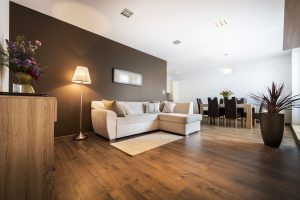 Home Interior in a Limited Budget