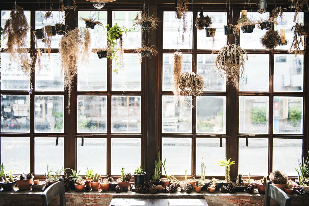 Hang-Plants-From-a-Branch